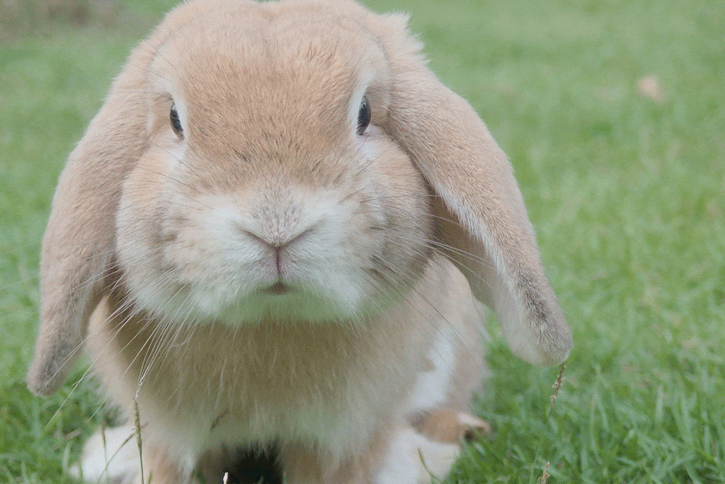 Ostern Newsletter Tipps