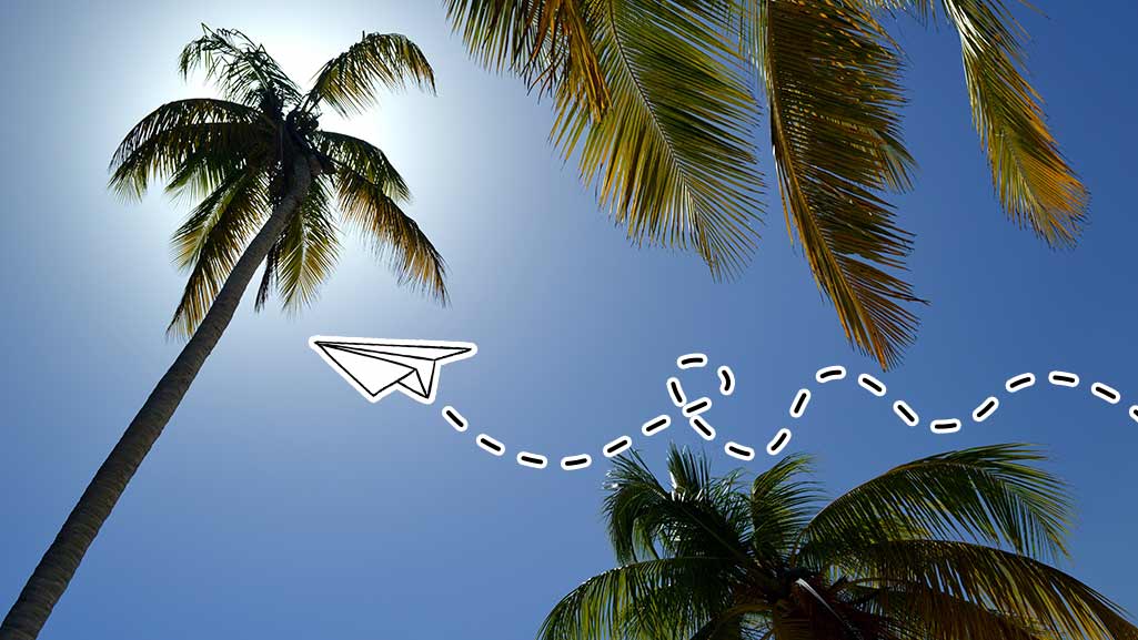 Sommer Newsletter