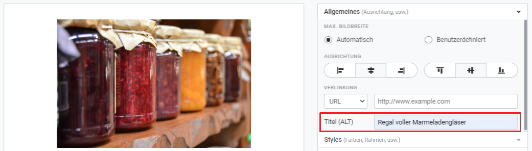 Alt-Text für Newsletter Abbildungen einfügen