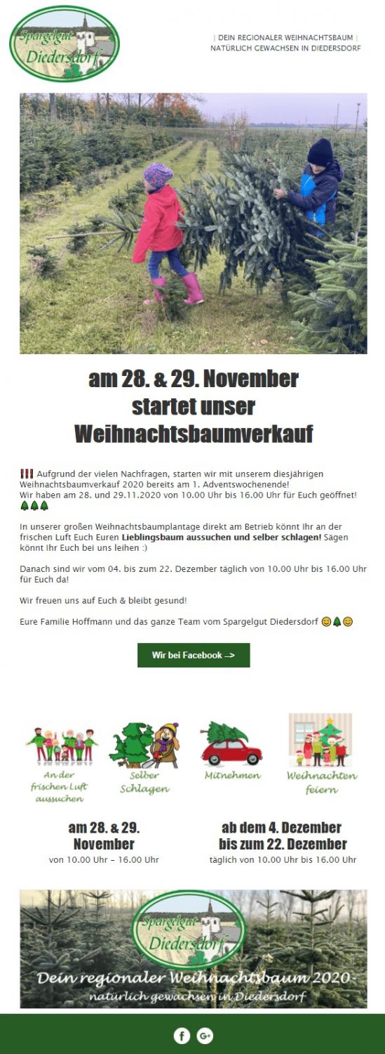 Weihnachts-E-Mail Familienaktion