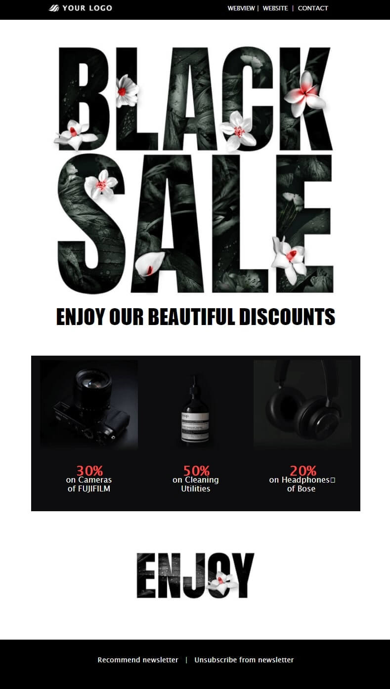 Black Friday Newsletter Template