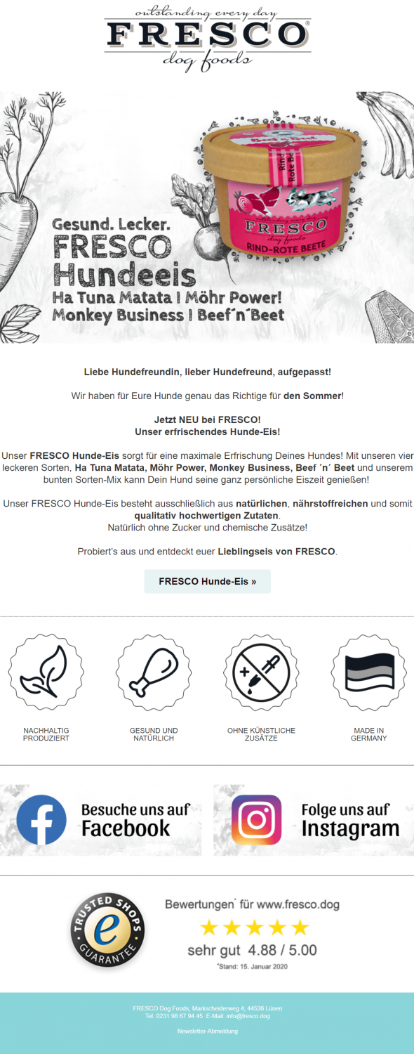 Gelungenes Newsletter-Beispiel Fresco
