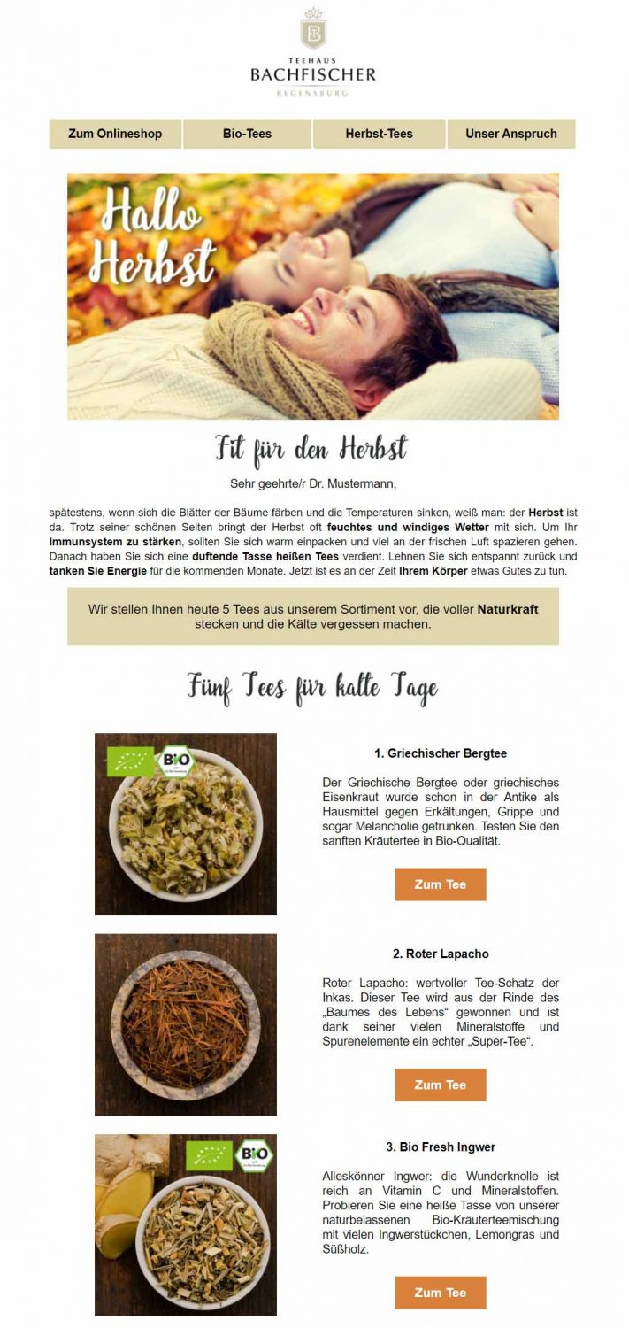 Newsletter Herbst Kundenbeispiel