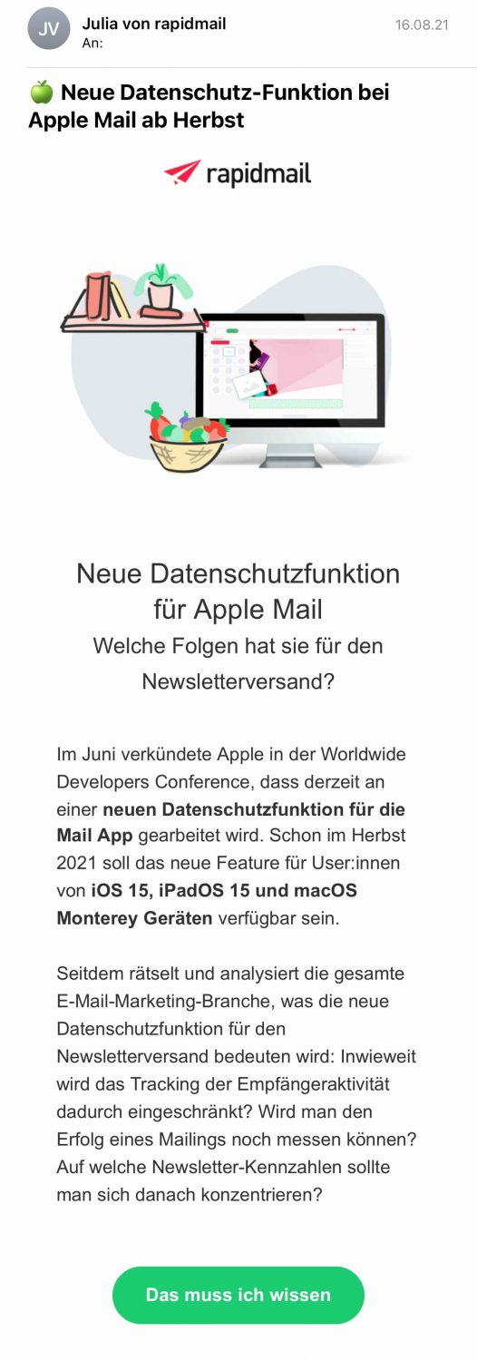 rapidmail Beispiel