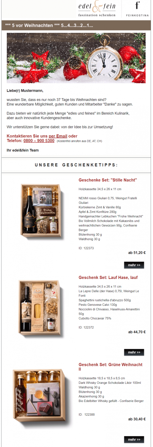 Weihnachtliche Newsletter Beispiel Edel & Fein