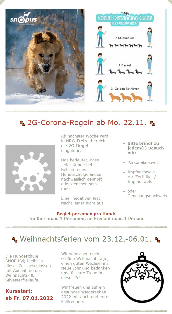 Weihnachtliche Newsletter Beispiel Snopus