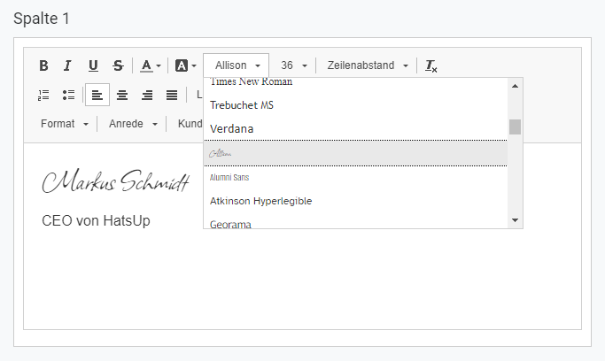 Auswahl von Webfonts im Mailing-Editor