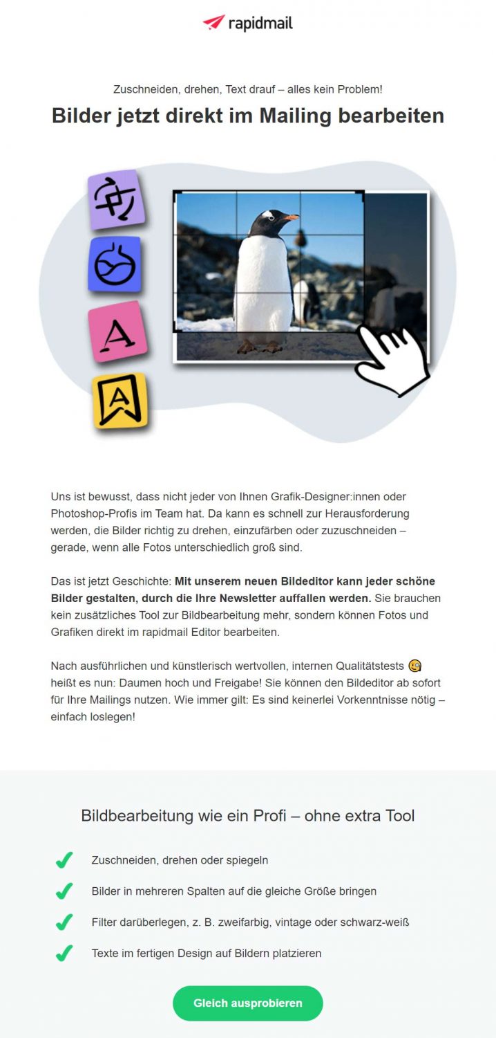 Newsletter Design Trends 2022 Wellenlinien