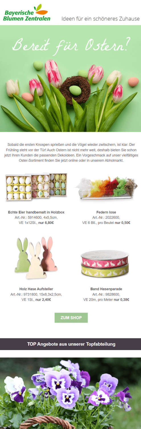 Beispiel eines Oster-Newsletters mit Deko und Blumenangeboten