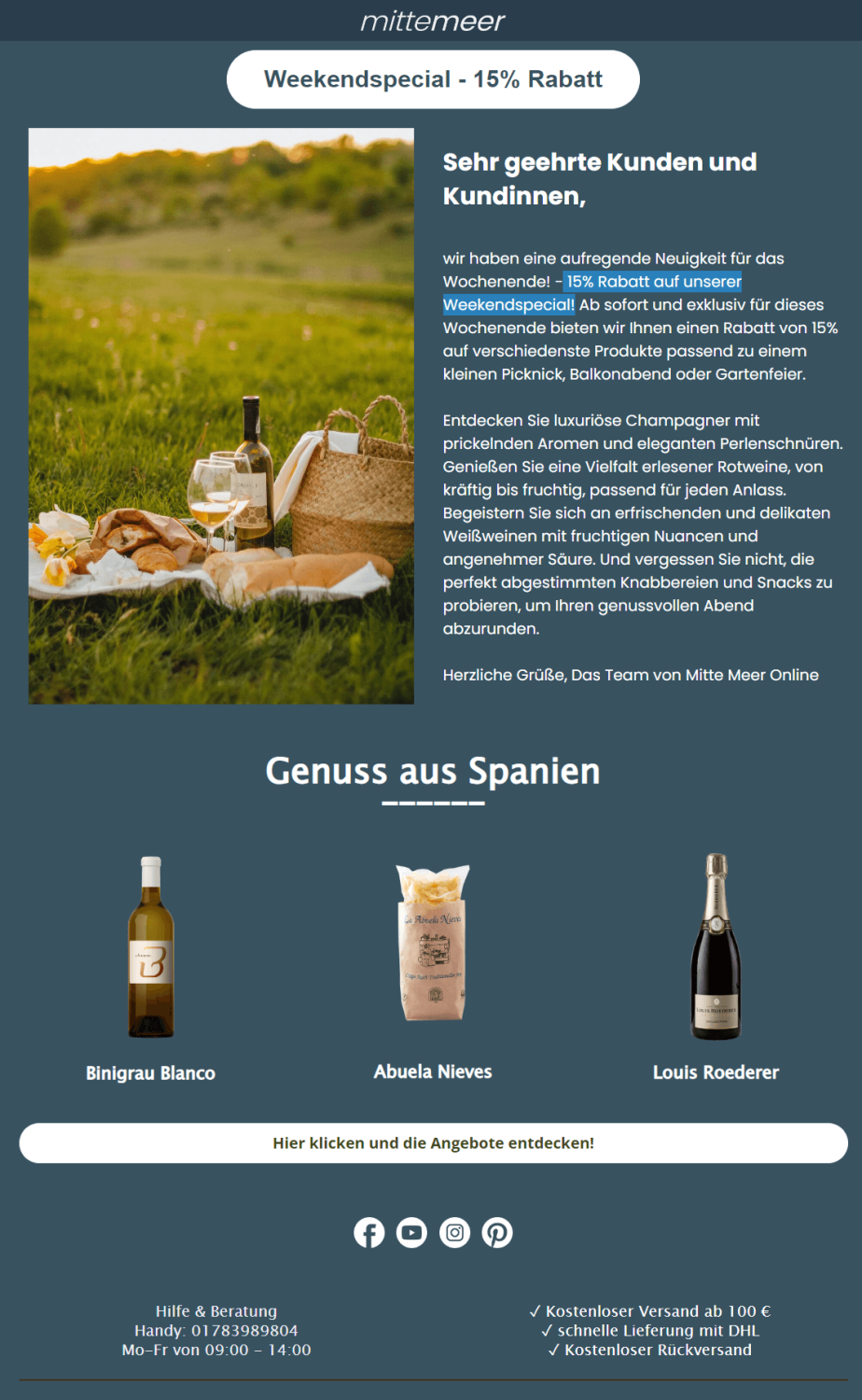 Beispiel für einen Sommer-Newsletter mit der Idee für ein Picknick