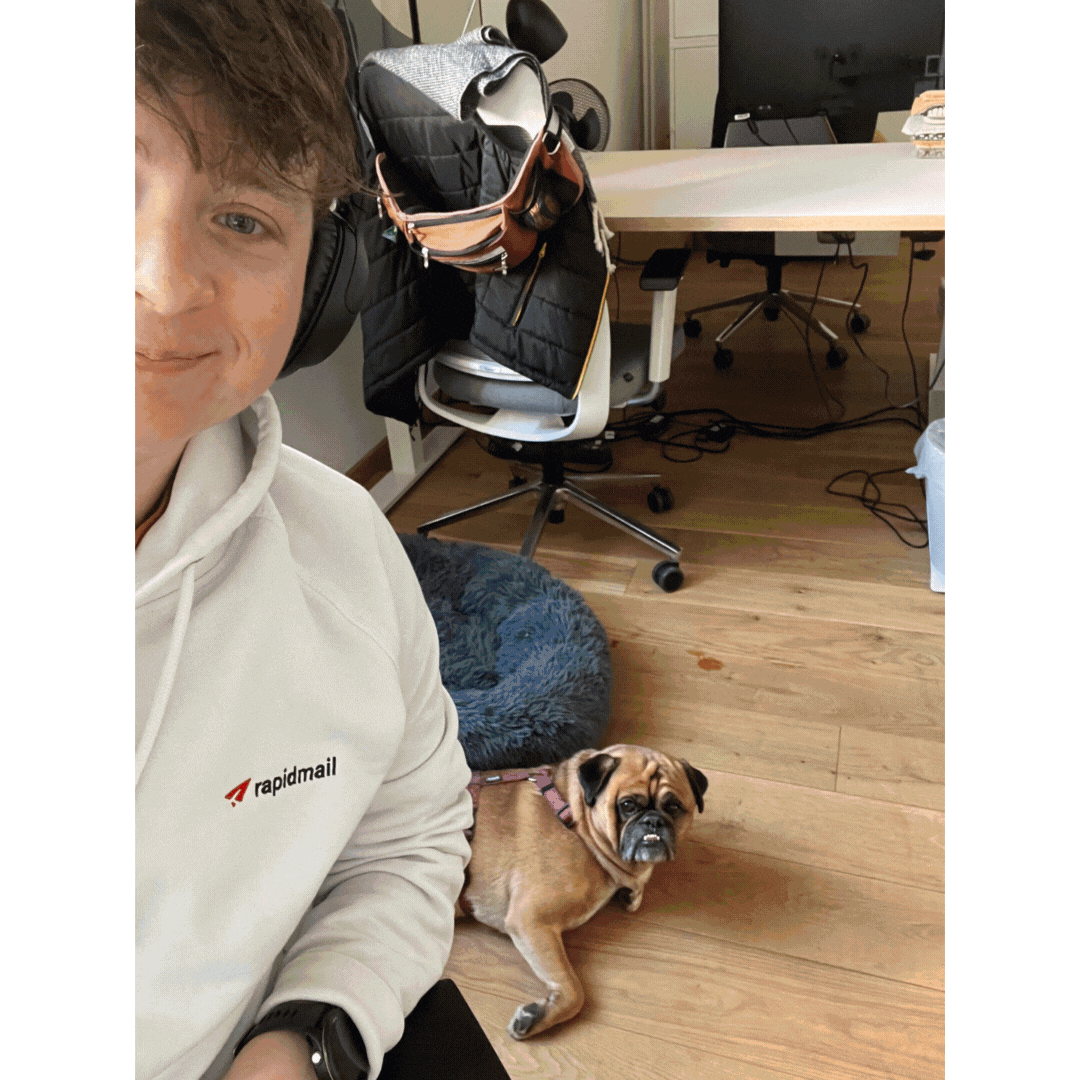 Unser Bürohund Bobby