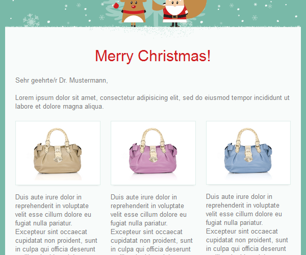 Responsive-Vorschau Funktion 3