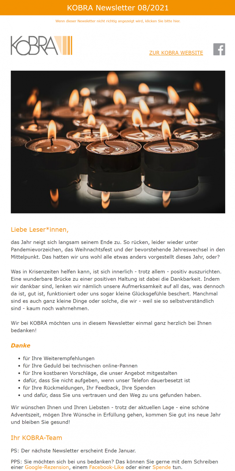 Newsletterbeispiel Kobra