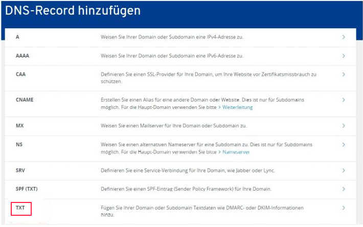 IONOS: TXT auswählen