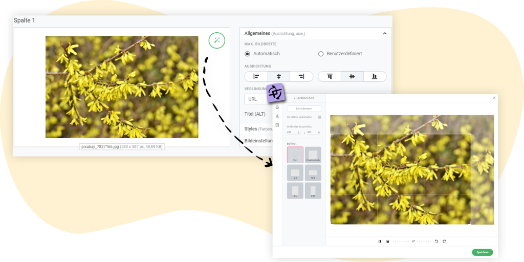 rapidmail Bild-Editor