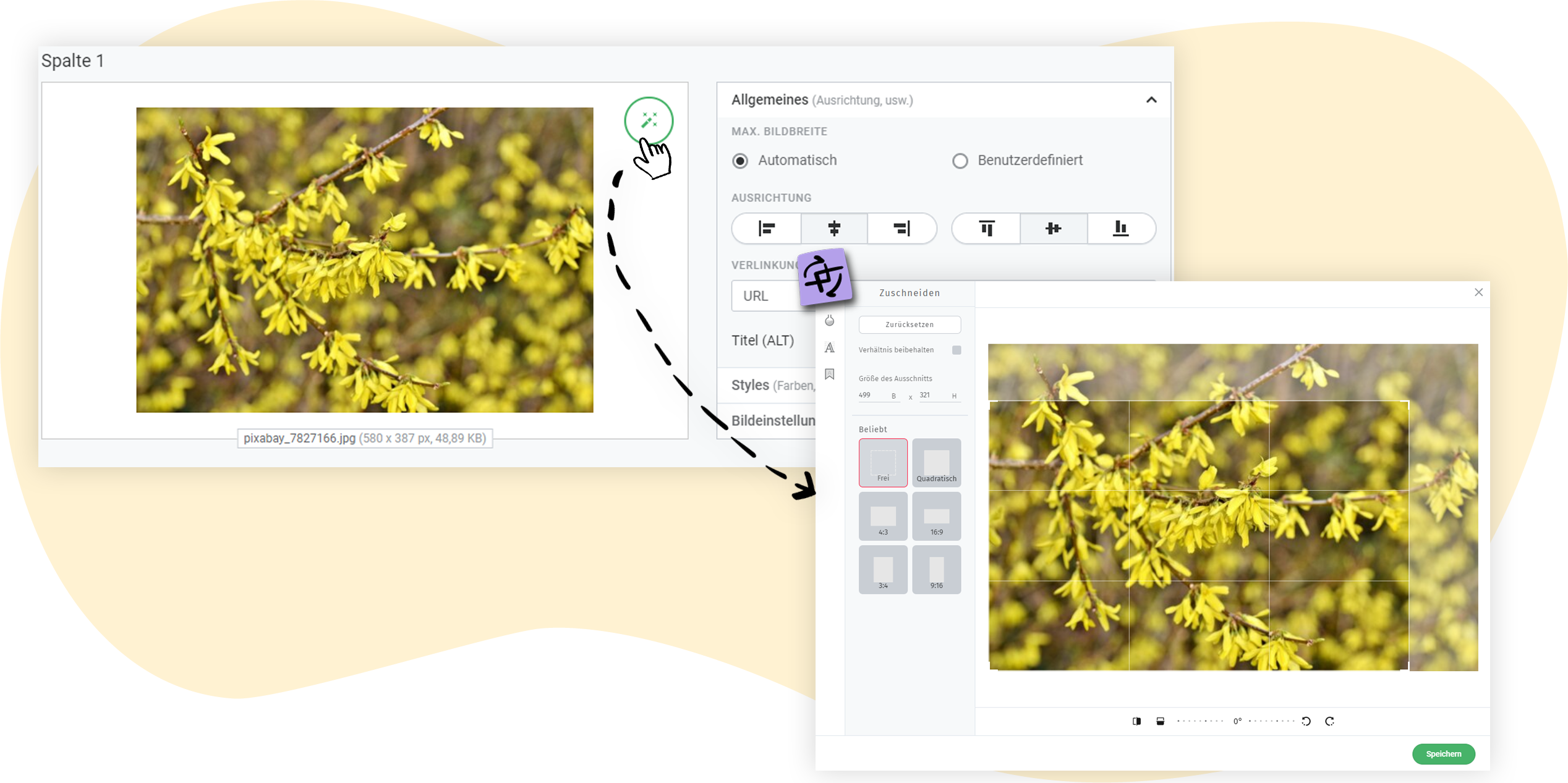 rapidmail Bild-Editor aufrufen