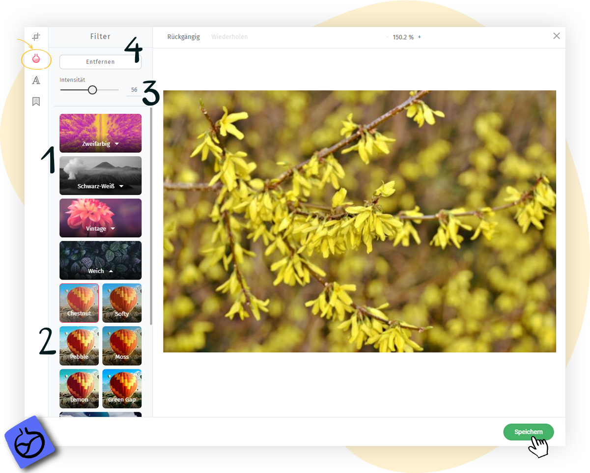 Filterfunktion im rapidmail Bild-Editor
