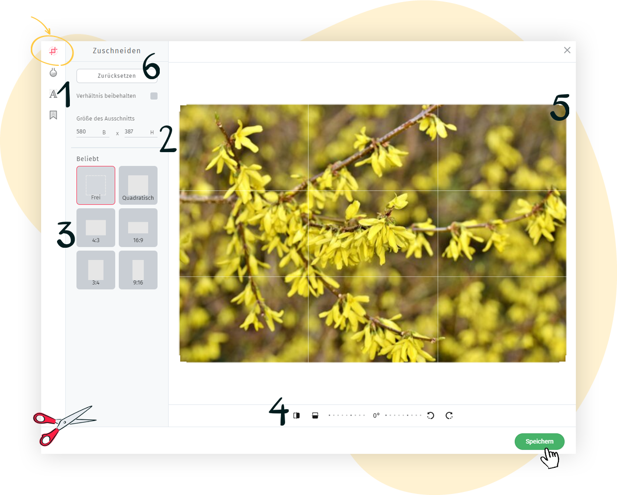 Bild zuschneiden im rapidmail Bild-Editor