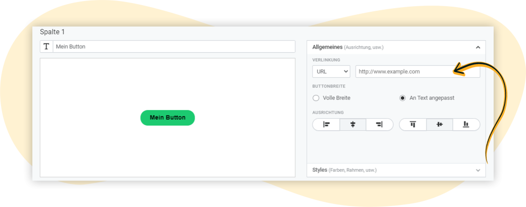 Button bzw. CTA mit rapidmail verlinken