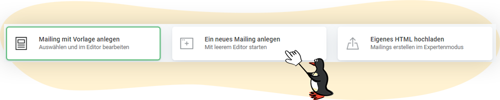 Optionen beim Anlegen eines neuen Mailings mit rapidmail