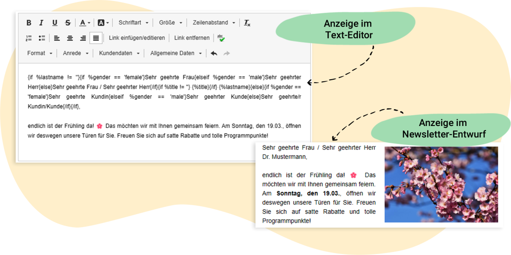 Anzeigeoptionen der personalisierten Anrede im rapidmail Mailing-Entwurf