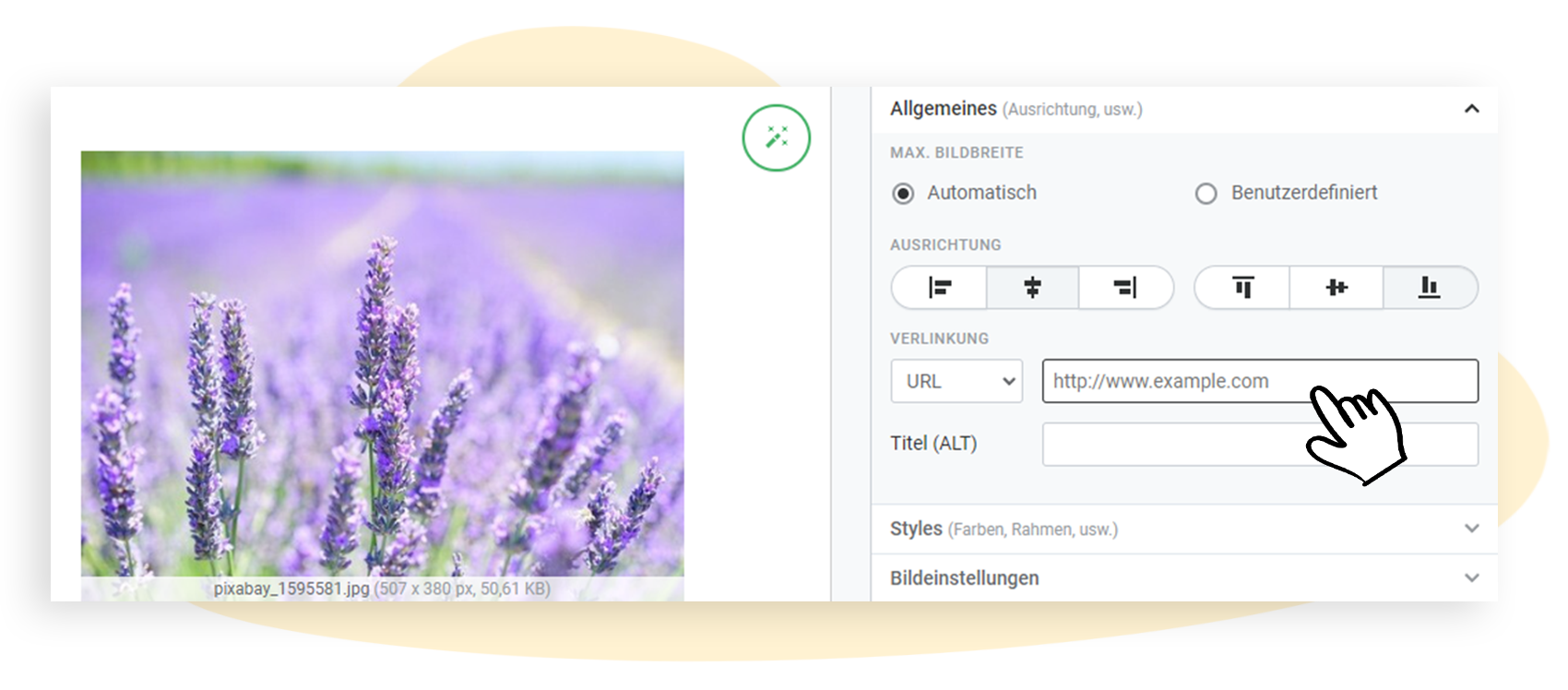 Ein Bild mit einem Link versehen