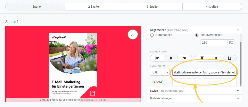 UTM_Parameter an Newsletter hängen im rapidmail Editor